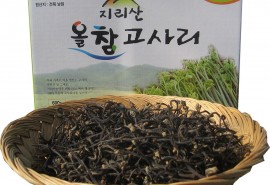 올참고사리농장