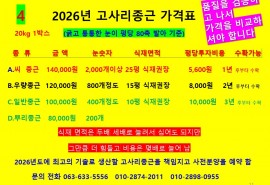 2026년 종근판매